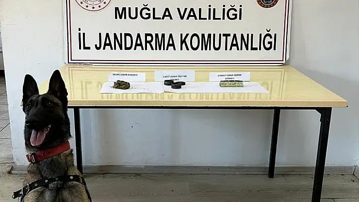 2 İlçede Uyuşturucu Operasyonu