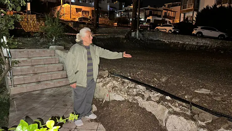 20 yıllık ağaçları kestiler