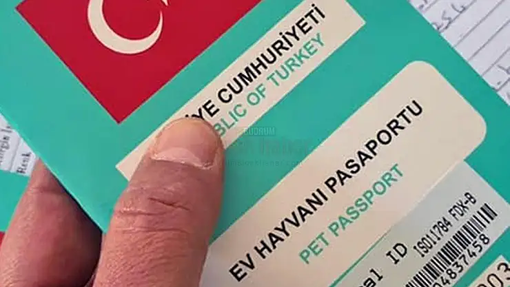 37 Bin Havyana Mikroçip Takıldı