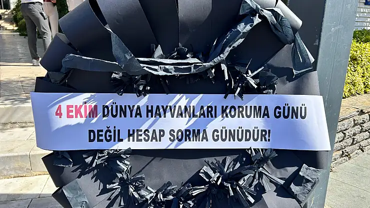 4 ekim hayvanları koruma günü değil hesap sorma günü !
