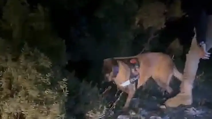 4 Milyon TL'lik uyuşturucu operasyonu