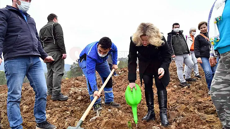 8 bin 500 fidan toprakla buluştu