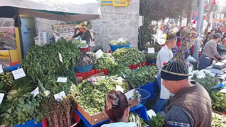 Acı Ot Festivali Bu Hafta Sonu Ortakent'te!