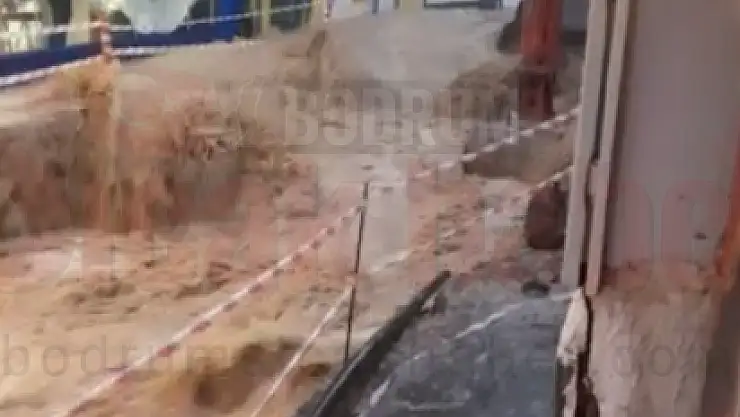 Afet Gibi Yağan Yağmur Bodrumu Etkiledi Kediler Köpekler Sel Sularına Kapılıp Boğuldu