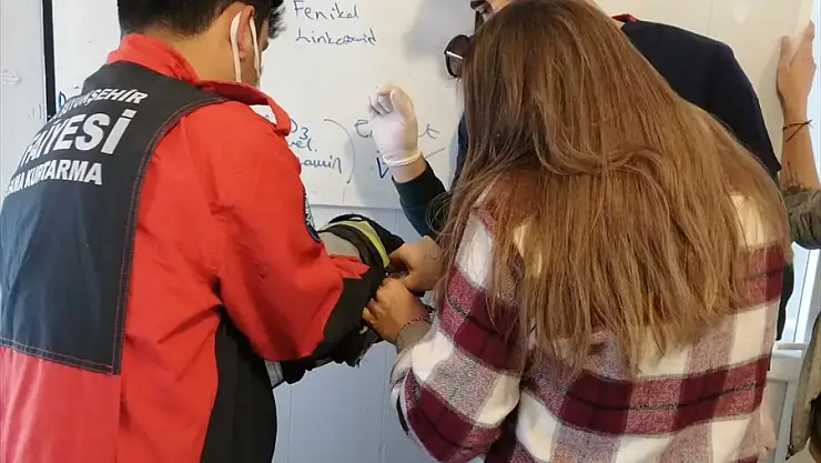 Ağaçtaki yaralı kuş kurtarıldı