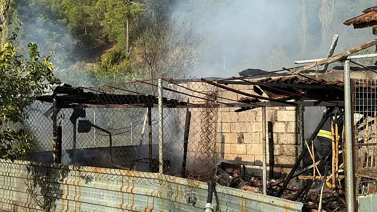 Ahır alevlere teslim oldu