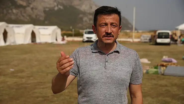 AK Parti Genel Başkan Yardımcısı Dağ'dan yangınlara ilişkin açıklama: