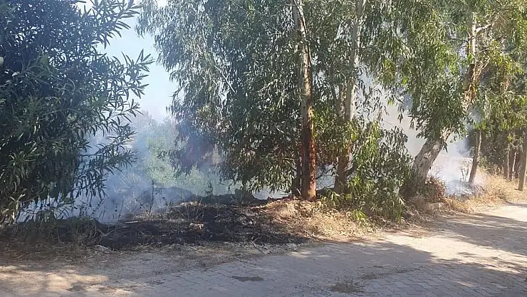 Akyarlar'da Ağaçlık Alanda Yangın Çıktı
