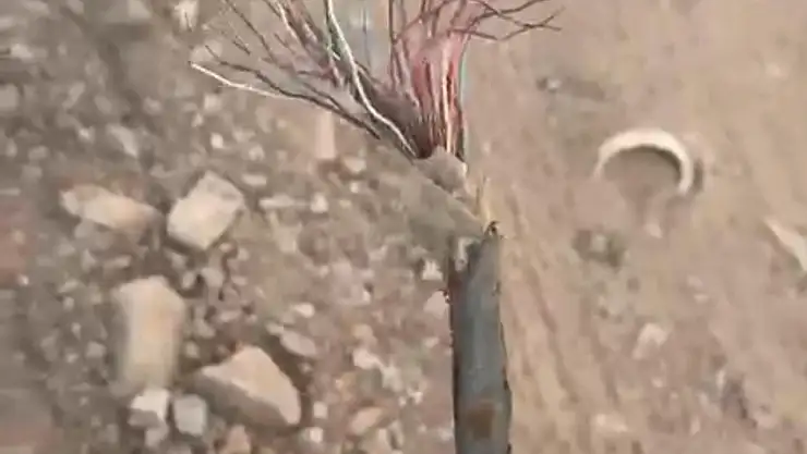 Altyapı çalışması vatandaşları çileden çıkarttı