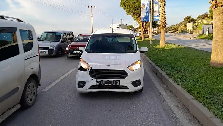 Aniden Önüne Çıkan Domuza Çarptı