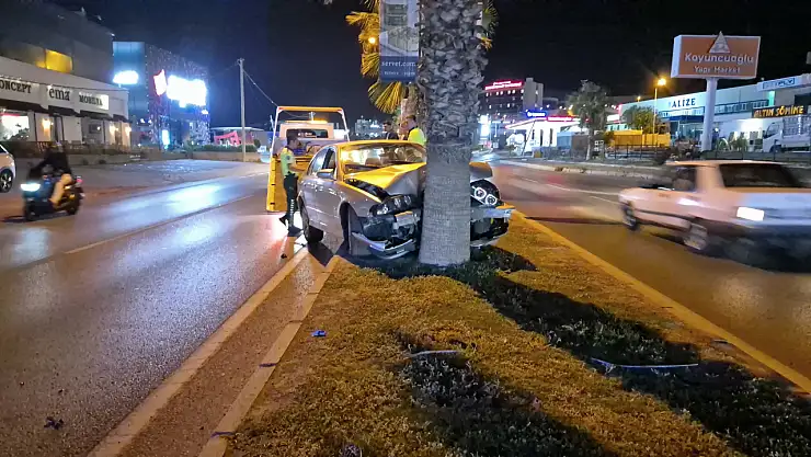 Araç ağaca çarparak durabildi !