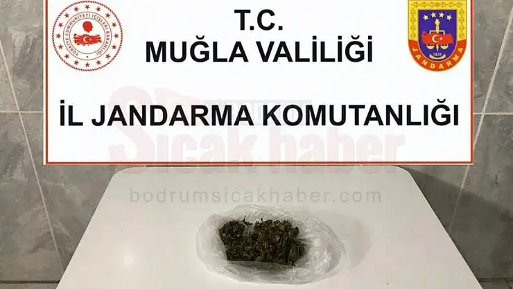 Arama Köpeği Kaptan, Şüphelinin Üzerindeki Uyuşturucuyu Yakaladı