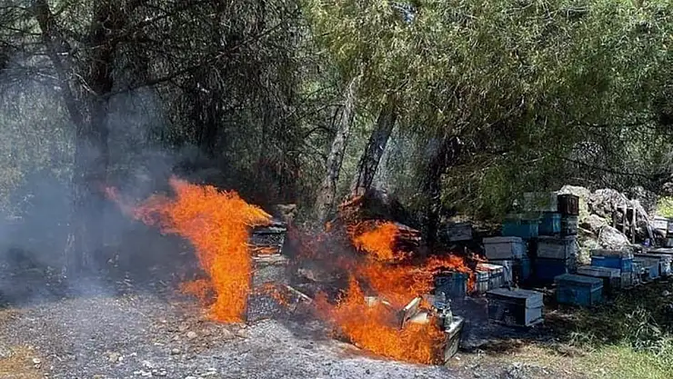 Arı Kovanları Yandı