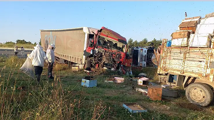 Arıcılara Tır Çarptı, Kazada 4  Kişi Öldü, 1 Kişi Yaralandı