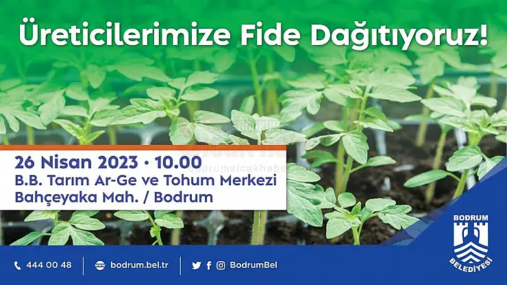 Atalık Fide Dağıtımı 26 Nisan'da Gerçekleştirilecek