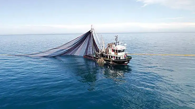 Av Yasağı Başladı