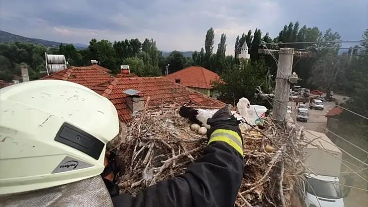 Ayağına ip dolanan leyleği itfaiye kurtardı