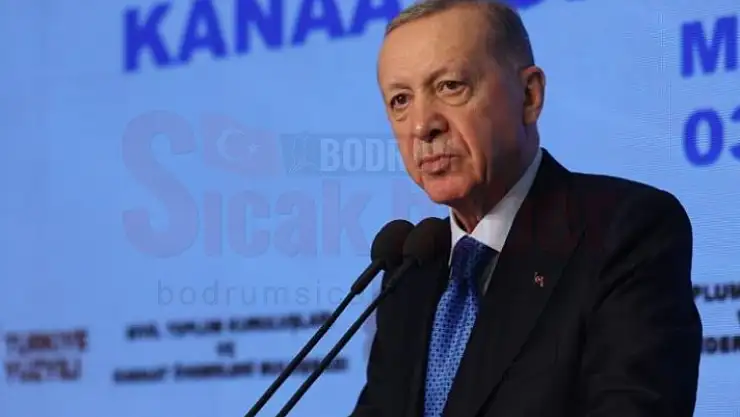 Ayaydın İstedi, Erdoğan Akbelen Kararını İptal Etti