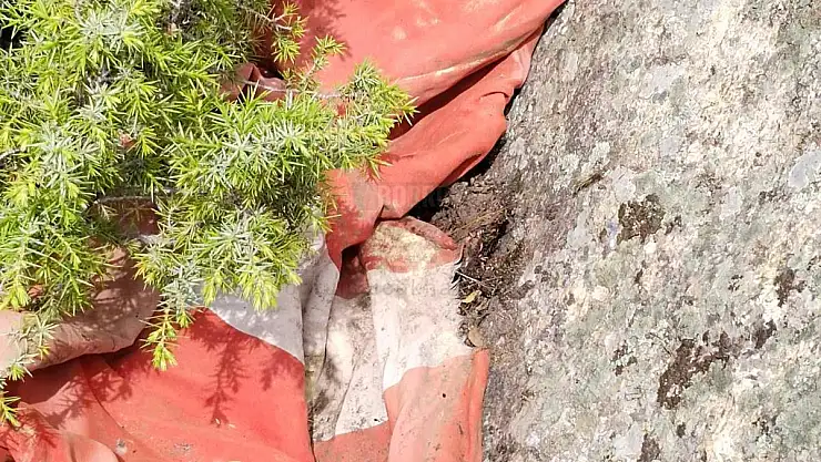 Aynı Bölgede 5 Bayrak Yerde Parçalanmış Halde Bulundu