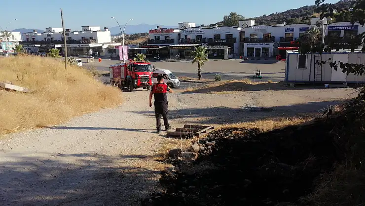 Bahçe temizliği paniğe yol açtı !