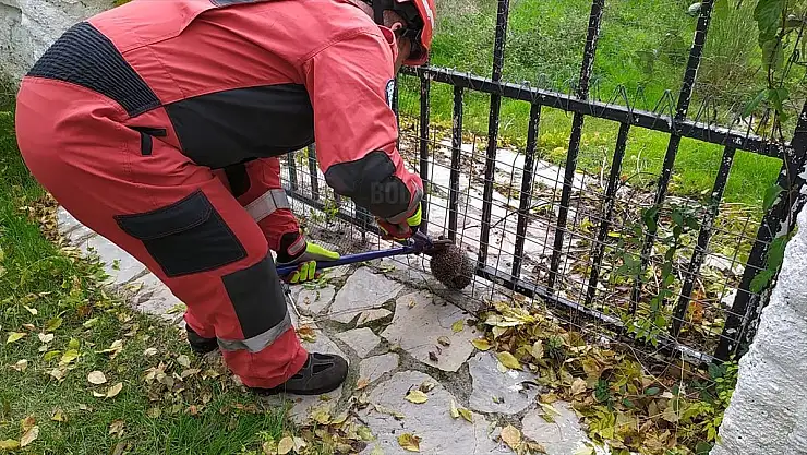 Bahçedeki Tel Örgüye Sıkışan Kirpi Kurtarıldı