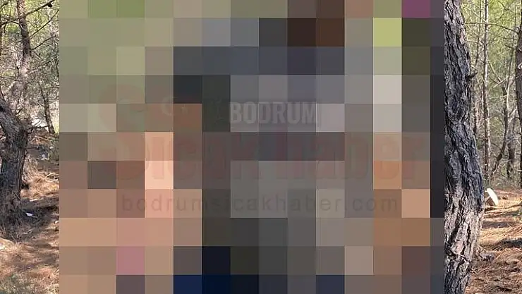 Belediye İşçisi Ağaçta Asılı Halde Bulundu