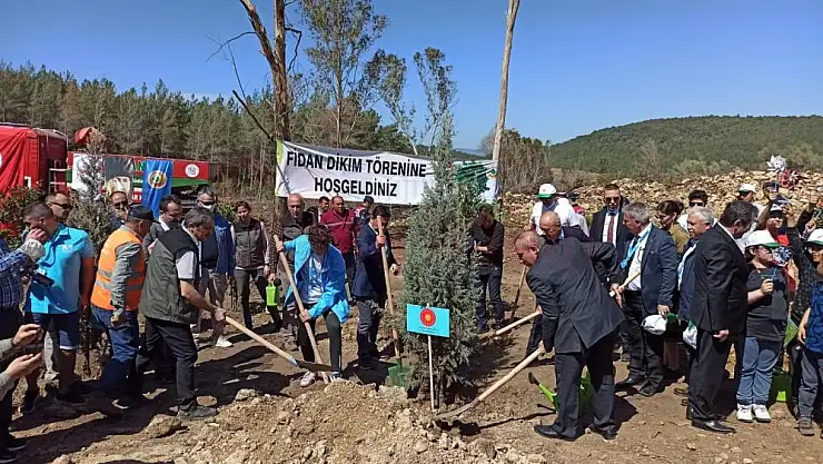 Bin 303 Fidan Toprakla Buluşturuldu