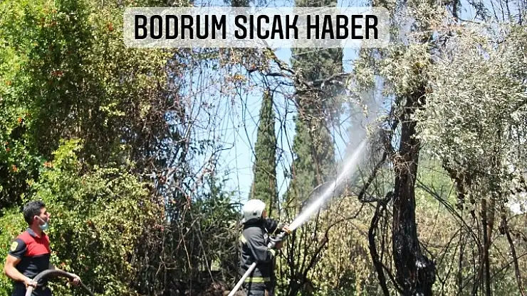 Bitez'de izmarit atılmasından çıkan yangın söndürüldü
