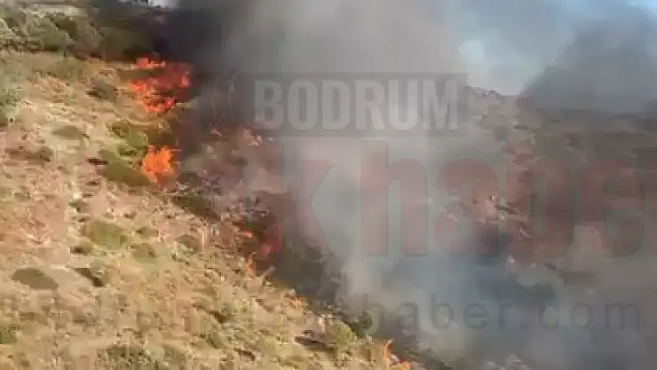 Bitez'de Makilik Alanda Yangın Çıktı