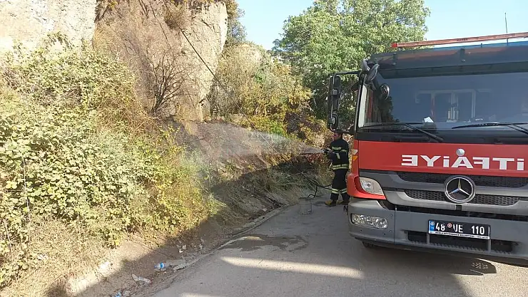Bitez'de Otluk Alanda Yangın Çıktı
