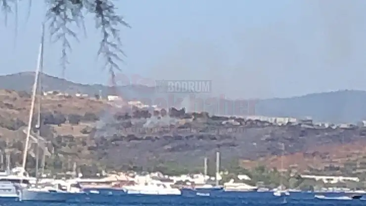 Bodrum Ali Kelle Ormanında Tekrar Yangın Başladı