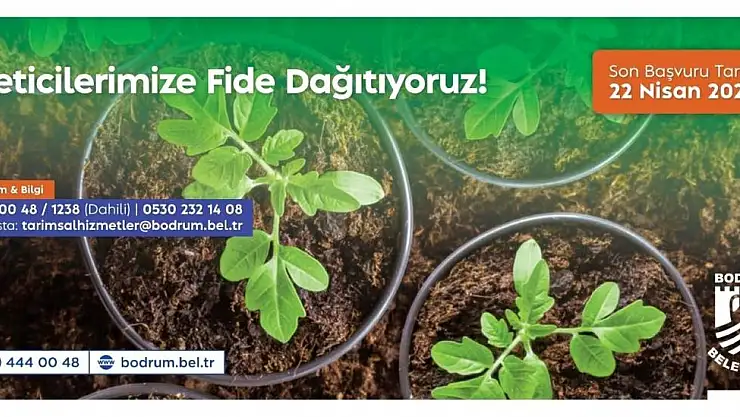 Bodrum Belediyesi'nden Çiftçilere Yazlık Fide Desteği