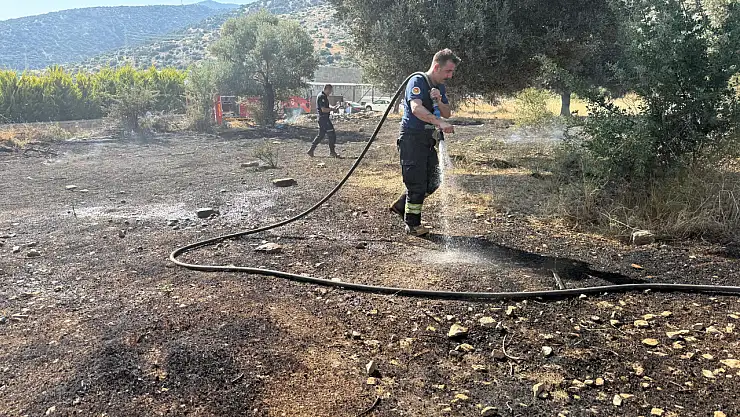 Bodrum'da otluk alanda yangın!