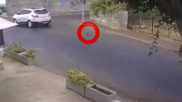 Bodrum'da vicdansızlığın böylesi !