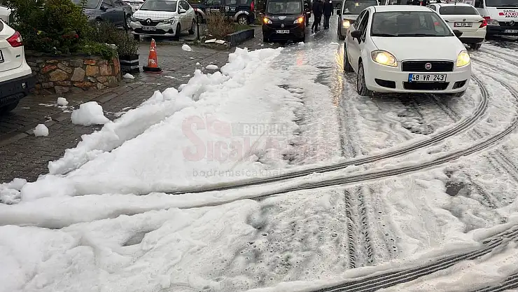 Bodrum Sokaklarındaki Köpük Şaşkınlıkla Karşılandı