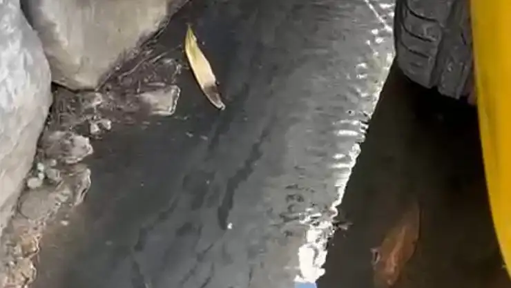 Bodrum'un göbeğinde lağım akıyor kimse umursamıyor