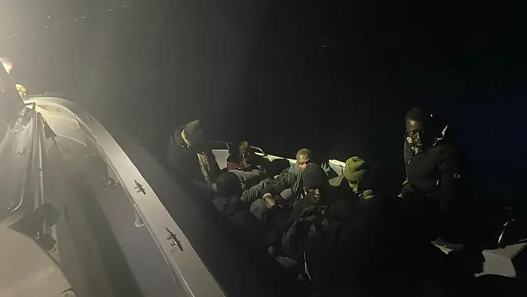 Bodrum'da 7 Göçmen Yakalandı, 1 Kişi Gözaltında