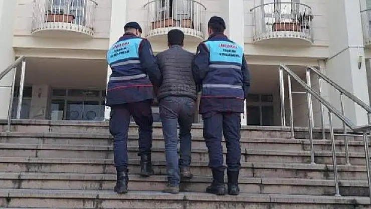 Bodrum'da Aranan 2 Kişi Jandarma Ekiplerince Yakalandı