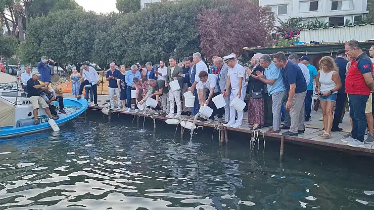 Bodrum'da Av Sezonu Açıldı: 40 Bin Yavru Levrek Denize Bırakıldı