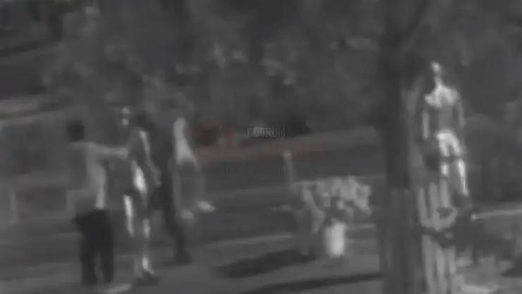 Bodrumda Bu Da Oldu
