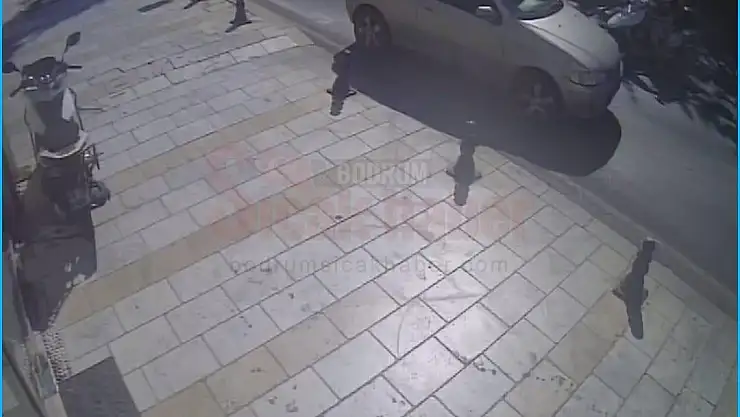 Bodrum'da Çaldı, Aydın'da Yakalandı