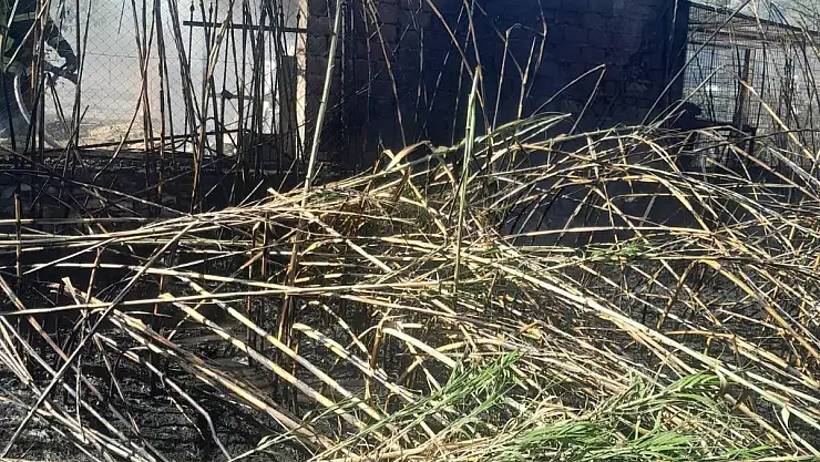 Bodrum'da Çıkan Yangın Kısa Süreli Panik Yarattı