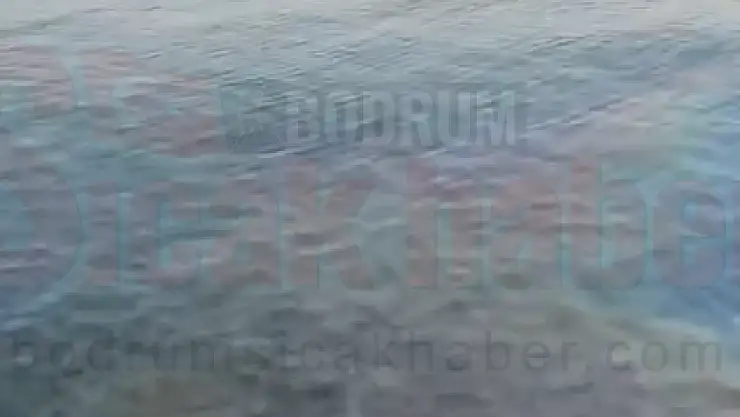 Bodrum'da Denize Mazot Döktüler