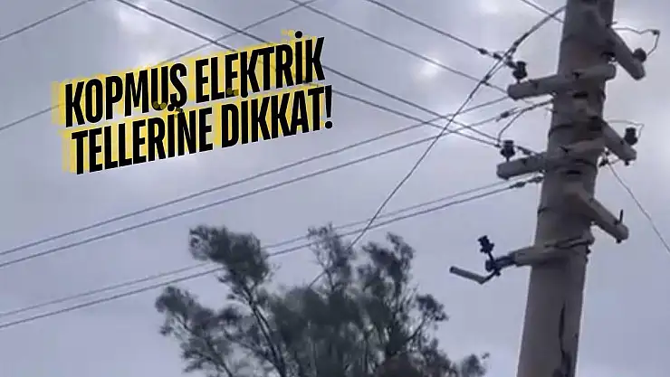 Bodrum'da Fırtına ve Sağanak Yağış Etkili Oldu
