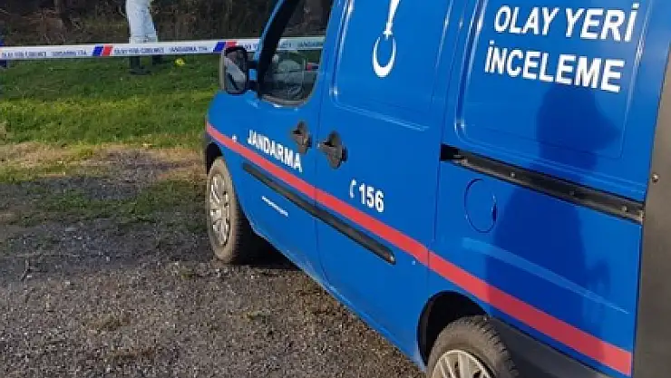 Bodrum'da İnsana Ait Kemikler Bulundu