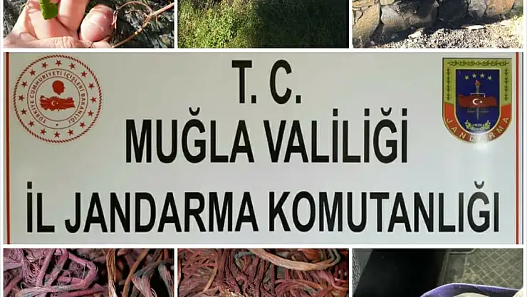Bodrum'da kablo hırsızlığı yaptığı iddia edilen kişi gözaltına alındı