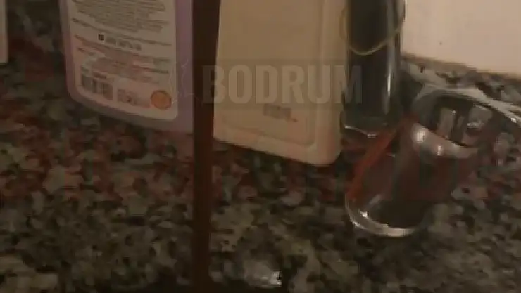 Bodrum'da Musluklardan Ne Akıyor?