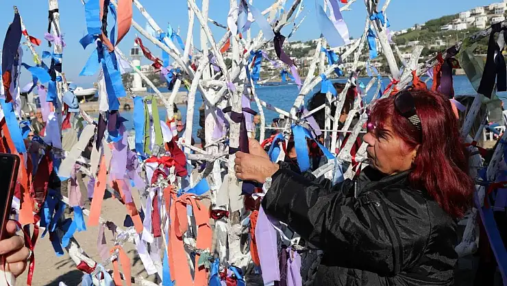 Bodrumda Nar Tugan Etkinlikleri