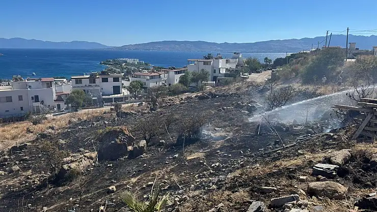 Bodrum'da Otluk alanda Yangın Çıktı