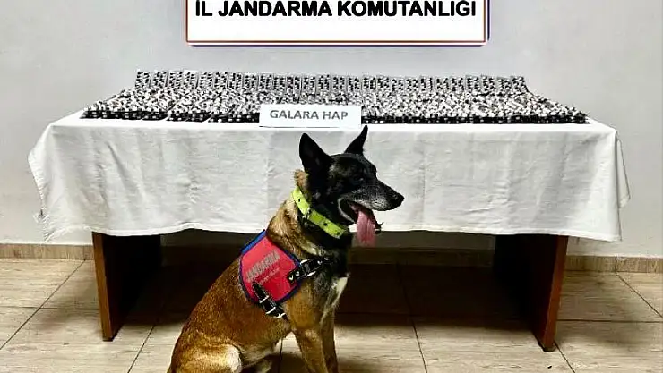 Bodrum'da Uyuşturucu Operasyonu: 4.756 Sentetik Hap Ele Geçirildi